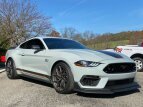 Thumbnail Photo 5 for 2022 Ford Mustang